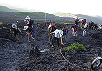 吉田口登山道中イメージ写真