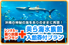 レンタカー乗り放題付プラン＋美ら海水族館入館券付プラン
