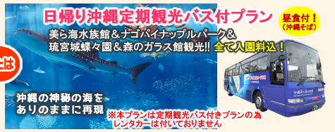 レンタカー乗り放題付プラン＋美ら海水族館入館券付プラン