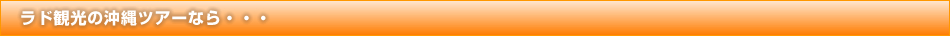 ラド観光の沖縄ツアーなら・・・
