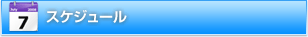 スケジュール