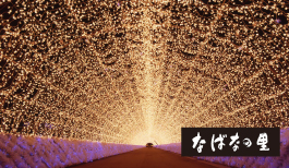 なばなの里イルミネーション